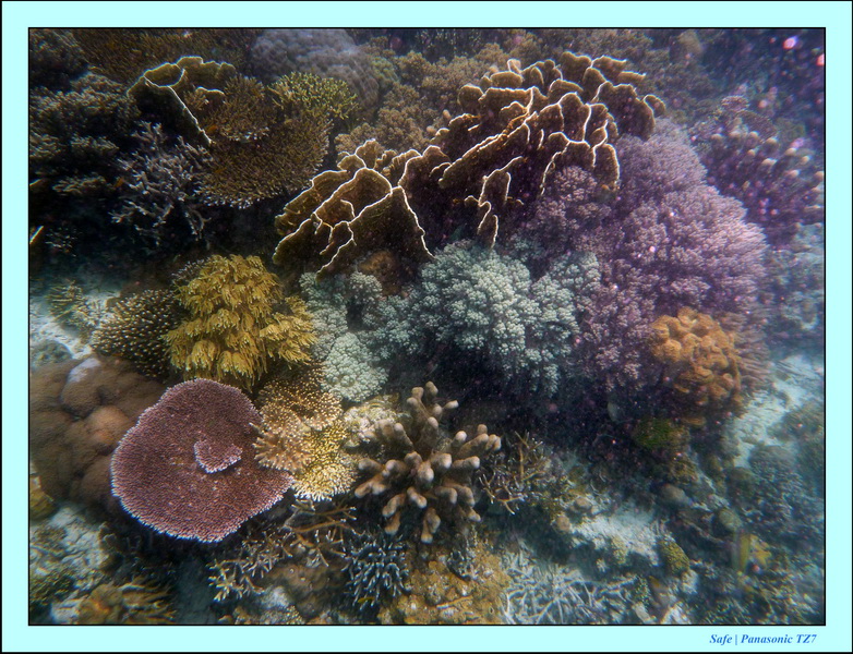 2009    07    Manatabuan 25